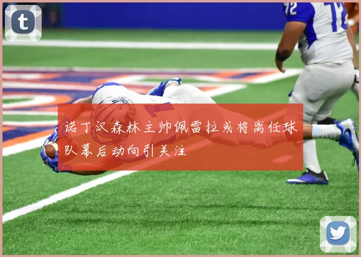诺丁汉森林主帅佩雷拉或将离任球队幕后动向引关注
