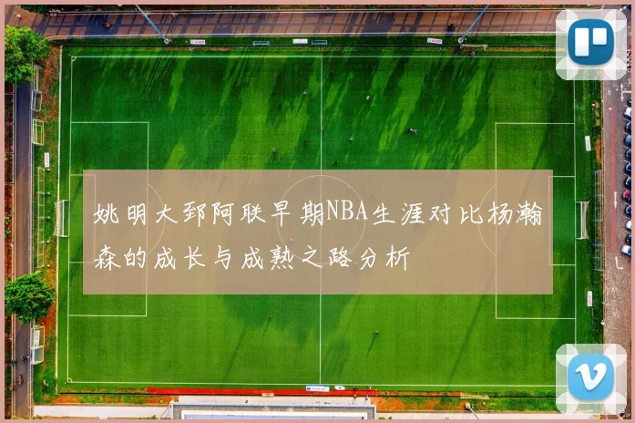 姚明大郅阿联早期NBA生涯对比杨瀚森的成长与成熟之路分析