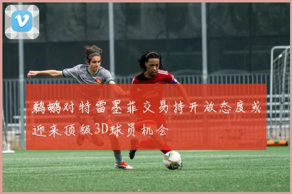 鹈鹕对特雷墨菲交易持开放态度或迎来顶级3D球员机会